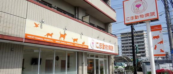 広島市　動物病院